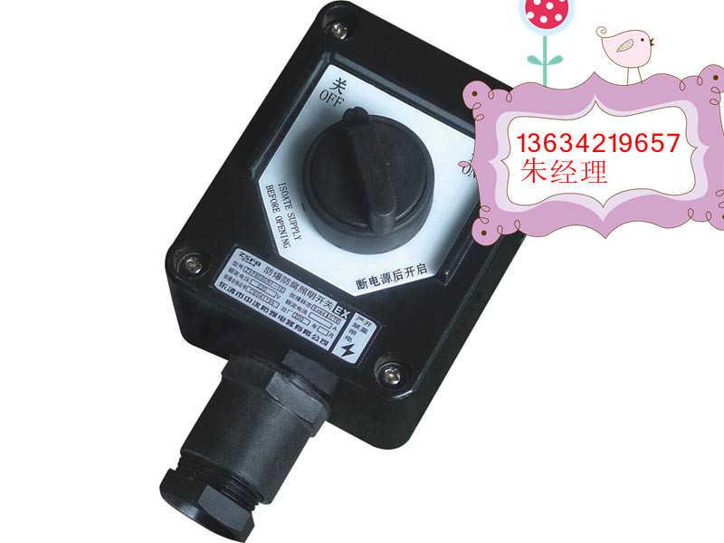專業(yè)生產(chǎn)BZM8050 哪里有防爆防腐照明開(kāi)關(guān)廠家 上海防爆照明開(kāi)關(guān)多少錢