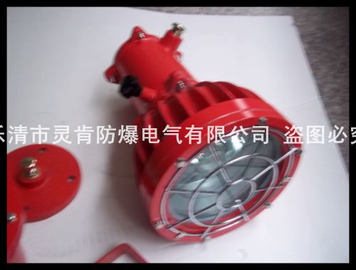 DGC175/127，DGC175/127礦用投光燈，175W