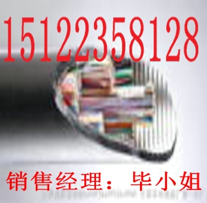 供應(yīng)【2012最新】MHYVR礦用信號電纜報價（價格/報價）【廠家