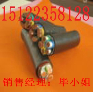 供應(yīng)全塑控制電纜KVVP2-22-屏蔽鎧裝控（價(jià)格/報(bào)價(jià)）廠家直銷