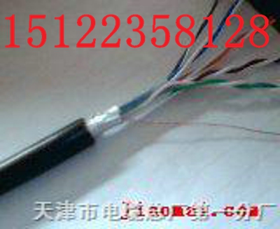 廠家直銷//ZRVVR電纜價(jià)格//HYAP廠家報(bào)價(jià)