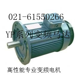 三相永磁同步電動(dòng)機(jī)、報(bào)價(jià)、貨期（圖）