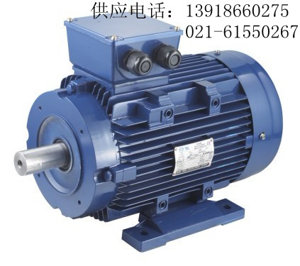 YS90S-6微型電動機|YS90S-6電機、大量現(xiàn)貨（圖）