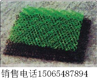 攀枝花三維植被網(wǎng)哪家好|價格多少|施工方法|廠家直銷