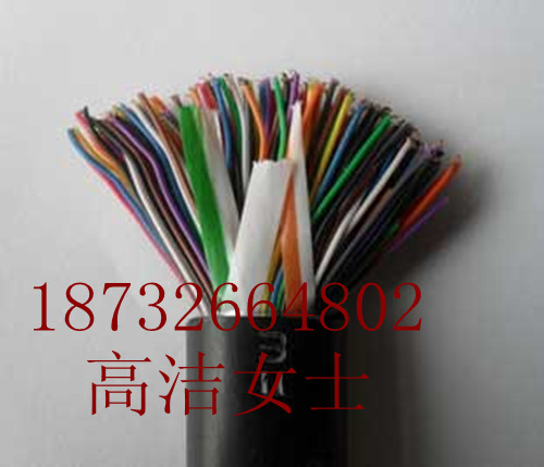 規(guī)格齊全-HPVV500*/2*0.4 500對(duì)電話線廠家/報(bào)價(jià)