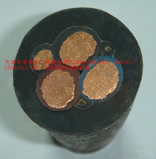 生產(chǎn)廠家天津國標(biāo)電纜