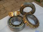 (yng) SL045015PPS INAS pНMbALS