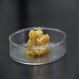 ߜ朗l͸ߜ朗l(lin)ߜ朗l