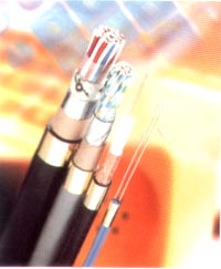 [供應(yīng)]1*25 1*35 1*50 通信設(shè)備電源線(xiàn) 機(jī)房電源線(xiàn)