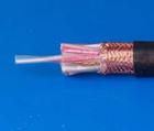 DJVVP2計算機(jī)控制電纜-（DJYJPV計算機(jī)信號電纜）