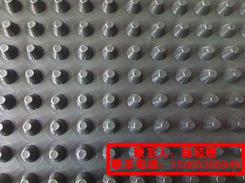 大連塑料排水板生產(chǎn)廠家排水板尺寸