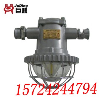 DGS20/127L(A),20W,V  