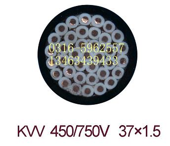 大對數(shù)電纜 大對數(shù)電纜大全 大對數(shù)電纜標(biāo)準(zhǔn)