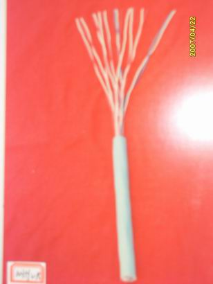 pgܛ|ZRB-RVSP pgܛ|N ُpgܛ|