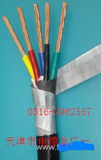 zbȼܛ|ZR-RVV22 zbȼܛ|S