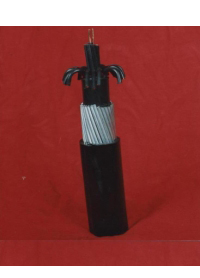 計(jì)算機(jī)電纜DJYVP|儀表信號電纜DJYVP