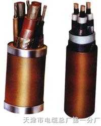 變頻電纜BPVVP BPVVP2 。