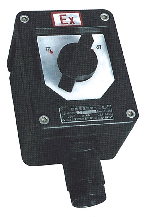 BZM8050_P(gun)\㽭_P(gun)(yng)̃r