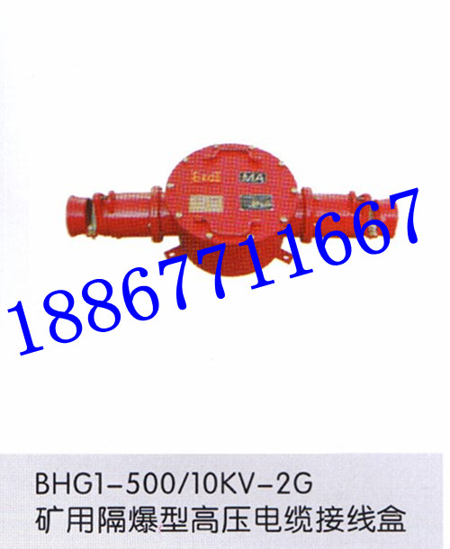 Vø߉Ӿ BHG1-200/10KV-2ͨ