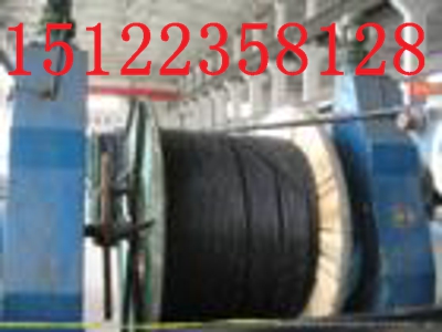 (國(guó)標(biāo))RVVP6*0.5屏蔽軟線價(jià)格