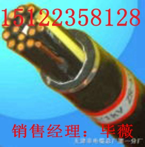 供應同軸電纜 SYV75-2 同軸電纜 視頻線價格/報價