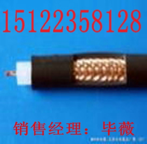 儀表用屏蔽電纜10＊0.5(圖)價(jià)格/報(bào)價(jià)