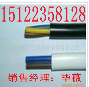 (供應(yīng)ZR-HYV阻燃電話電纜）最新/報(bào)價(jià)