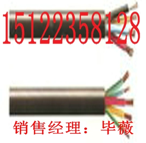 (供應(yīng)銅芯聚氯乙烯絕緣鎧裝電纜)最新/報價