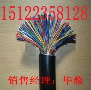 供應(yīng)耐火防火軟芯電纜//供應(yīng)耐火防火軟芯電纜(價(jià)格)(報(bào)價(jià))
