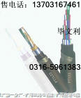 RVV|RVVS|RVVP|KVVP-늾||-pg|