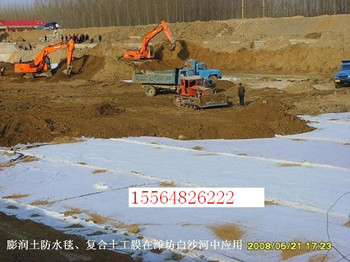 安陽覆膜膨潤土防水毯；專業(yè)生產(chǎn)防水毯