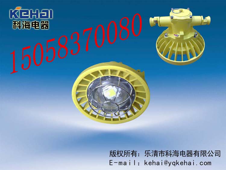 礦用隔爆型LED巷道燈，礦用LED巷道燈價格，DGS-18/127