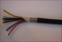 혵V485|a(chn)485|N