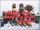 海域ZRDJYVP電纜銷售，海域阻燃計算機(jī)ZRDJYVP電纜