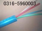 海域BPYJVP2，BPVVP2，海域變頻器專用電纜