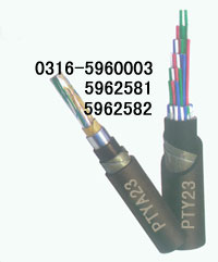 海域IARVVP電纜生產(chǎn)，海域本安電纜，海域銷售IARVVP