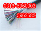 海域2*0.2電纜廠家|485電纜銷售|RS485供應