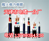 南通煤礦電話電纜廠家，南通礦用電話電纜銷售，南通防爆電話電纜