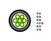 吳江油田控制電纜銷售，吳江油田阻燃控制電纜生產(chǎn)