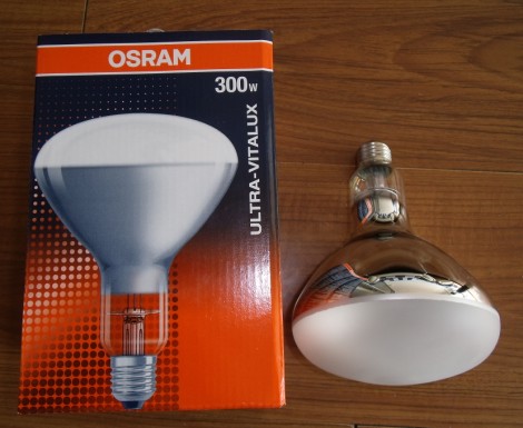OSRAM⾀uULTRA-VITALUXϺ;C(j)