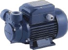 PQ60水泵，PEDROLLO PQ60水泵