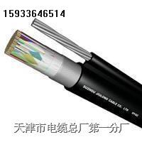 最新供應煤礦用防爆通信電纜MHYAV-電話電纜MHYAV/價格/