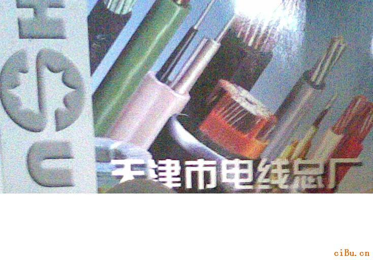 @C(j)cʯƽ_(ti)|ZP-EJE