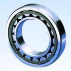 NU248/C3SСNU248/C3SСNU248/C3S