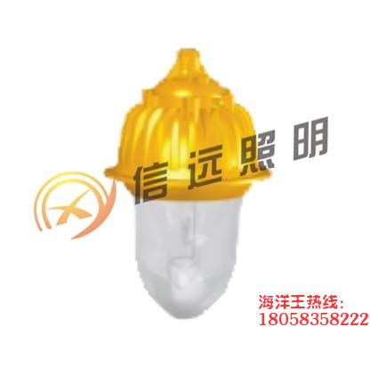 信遠照明BFC8130-J100W內(nèi)場防爆燈 BFC8130價格