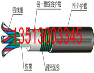 耐寒鎧裝鐵路傳輸信號(hào)電纜PTYAH23-12*1.0