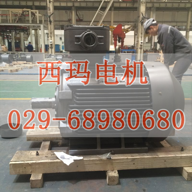 YGP315M1-6 75KW/IC410sʽұ݁늙C(j)r(ji)̩͡늙C(j)