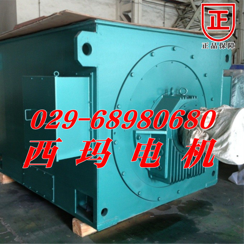 YGP400L1-8 160KW/380V 50HZ輥道電機生產(chǎn)廠家【鴻泰電機】