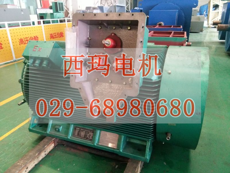 JS1410-6 800KW 380V?sh)͉ஐ늙C(j)a(chn)Ʒ;