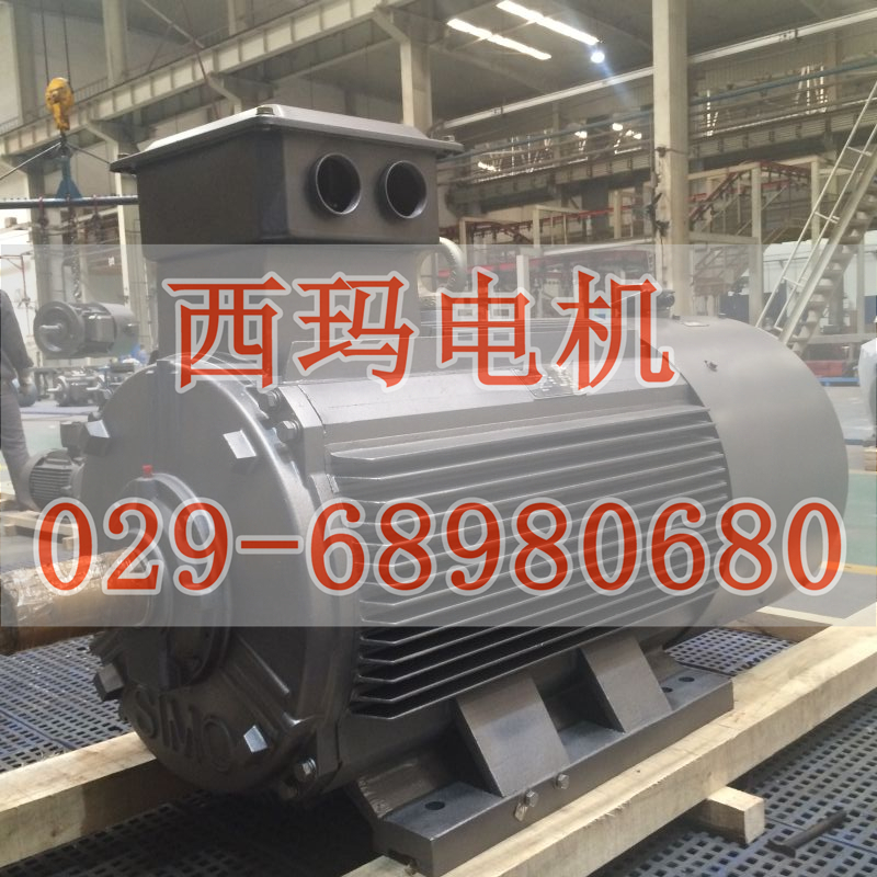 YGP355L3-6 160KW/380V 50HZ׃l݁늙Cһ|(zh)̩늙C